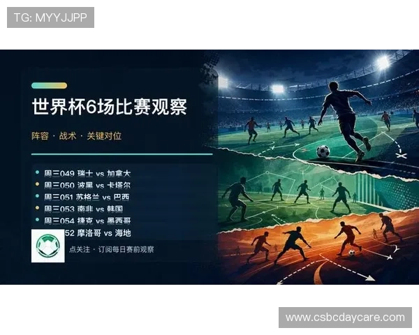 世界杯瑞士VS加拿大比赛场地的场馆布局与观众体验提升方案